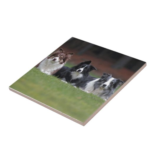 grenspolitie tegeltje (Zijkant)