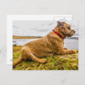 Grenswerper olie verf-effect Gedrukt Briefkaart (Voorkant / Achterkant)