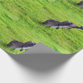 Grenzeloze horizonten: grijze kangoeroes op grasvl cadeaupapier (Hoek)