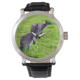 Grenzeloze horizonten: grijze kangoeroes op grasvl horloge