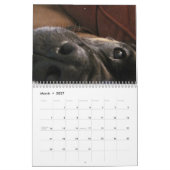 Greta Splendens Mogelijk de Best Dog 2013 Kalender (Mar 2027)