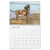 Greta Splendens Mogelijk de Best Dog 2013 Kalender (Jan 2027)