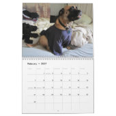 Greta Splendens Mogelijk de Best Dog 2013 Kalender (Feb 2027)