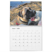 Greta Splendens Mogelijk de beste hond Kalender (Mar 2027)