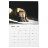 Greta Splendens Mogelijk de beste hond Kalender (Feb 2027)