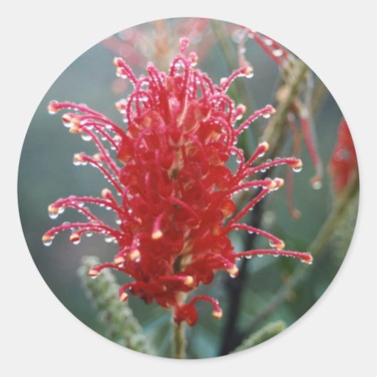 Greville Ronde Sticker (Voorkant)