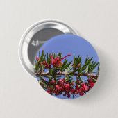 Grevillea Button (Voorkant /achterkant)