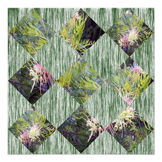 Grevillea: de diamantpatronen van Natuur omarmen, Foto Afdruk (Voorkant)