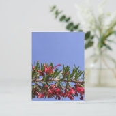 Grevillea Flower Briefkaart (Staand voorkant)