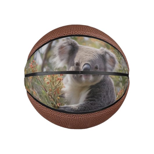 Grevillea Koala Beer, Basketbal (Voorkant)