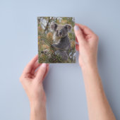 Grevillea Koala Beer, Flyer (Hand)
