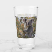 Grevillea Koala Beer, Glas (Achterkant)