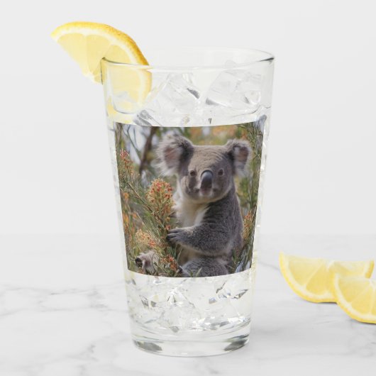Grevillea Koala Beer, Glas (Voorkant ijs)