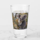 Grevillea Koala Beer, Glas (Voorkant)