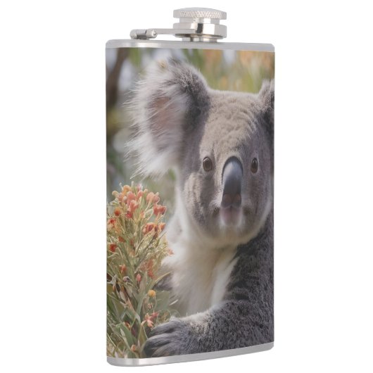 Grevillea Koala Beer, Heupfles (Rechts)