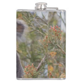 Grevillea Koala Beer, Heupfles (Achterkant)