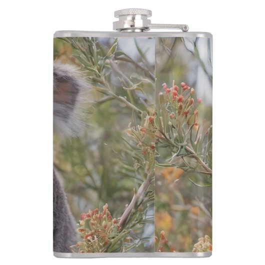 Grevillea Koala Beer, Heupfles (Achterkant)