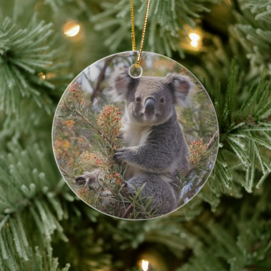 Grevillea Koala Beer, Keramisch Ornament (Boom)