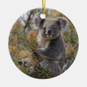 Grevillea Koala Beer, Keramisch Ornament (Voorkant)