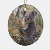 Grevillea Koala Beer, Keramisch Ornament (Links)
