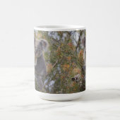 Grevillea Koala Beer, Koffiemok (Center)