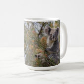 Grevillea Koala Beer, Koffiemok (Voorkant rechts)