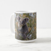 Grevillea Koala Beer, Koffiemok (Voorkant links)