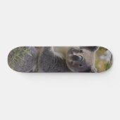Grevillea Koala Beer, Persoonlijk Skateboard (Horizontaal)