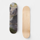 Grevillea Koala Beer, Persoonlijk Skateboard (Voorkant)