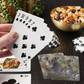 Grevillea Koala Beer, Pokerkaarten (Insitu)