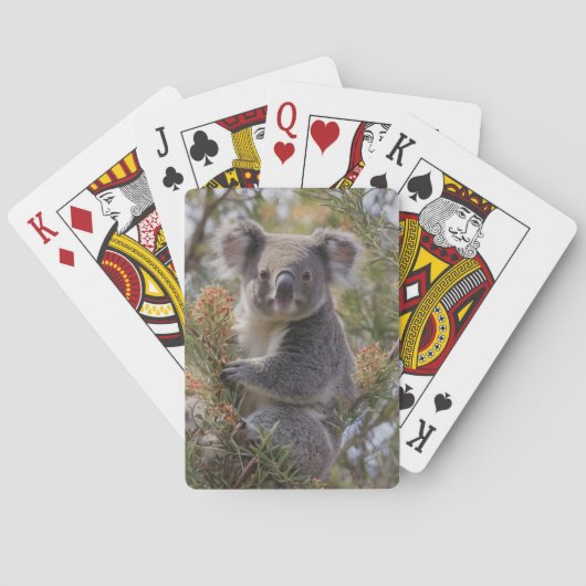 Grevillea Koala Beer, Pokerkaarten (Achterkant)