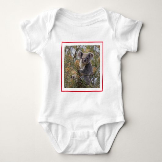 Grevillea Koala Beer, Romper (Voorkant)