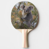 Grevillea Koala Beer, Tafeltennisbatje (Voorkant)