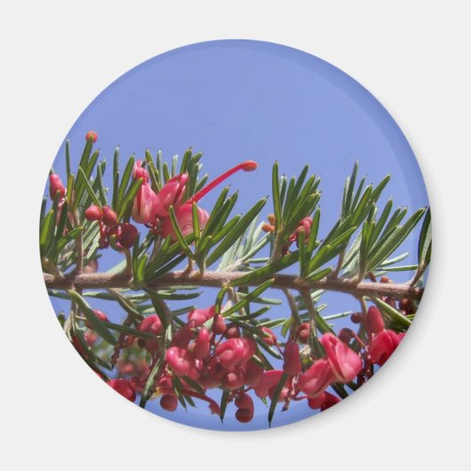 Grevillea Plant magneet (Voorkant)