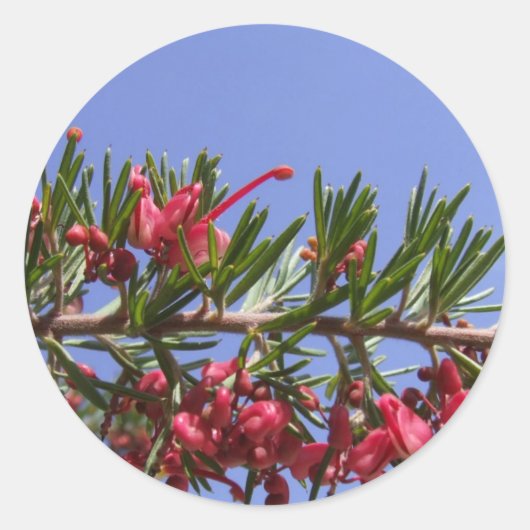 Grevillea Plant Stickers (Voorkant)