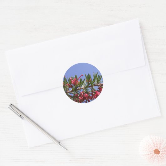 Grevillea Plant Stickers (Envelop)