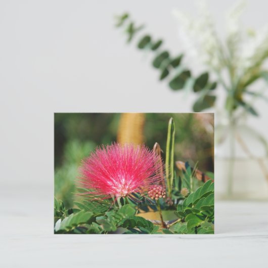 Grevillia Briefkaart (Staand voorkant)