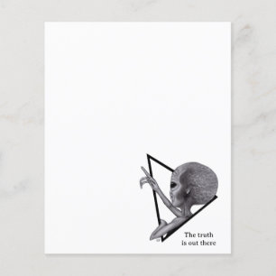 Grey Alien, de waarheid is er