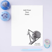 Grey Alien, de waarheid is er Flyer (Enkel)