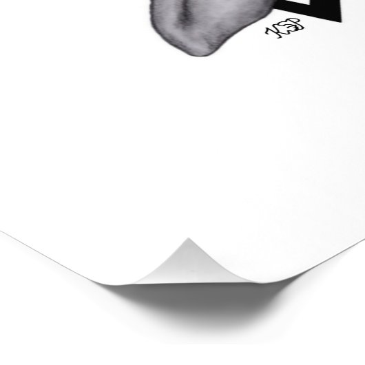 Grey Alien, de waarheid is er Foto Afdruk (Hoek)