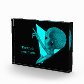 Grey Alien, de waarheid is er Fotoblokken (Rechts)