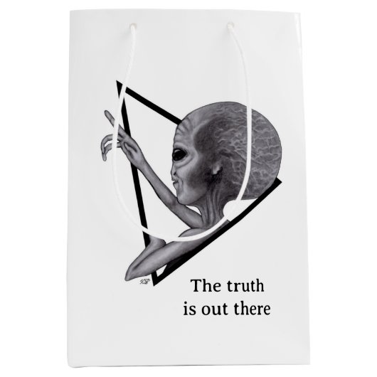 Grey Alien, de waarheid is er Medium Cadeauzakje (Voorkant)