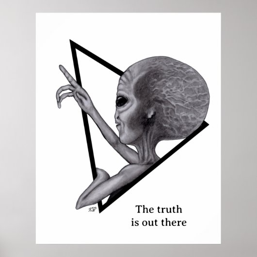 Grey Alien, de waarheid is er Poster (Voorkant)
