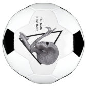 Grey Alien, de waarheid is er Voetbal (Gedraaid)