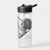 Grey Alien, de waarheid is er Waterfles (Links)