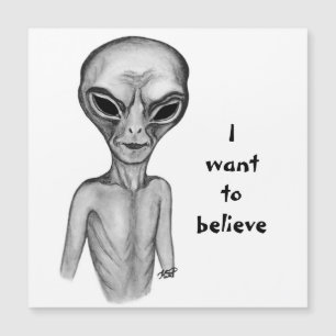 Grey Alien, ik wil geloven