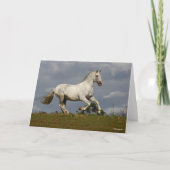 Grey Andalucian Stallion die tegen Sky loopt Kaart (Voorkant)