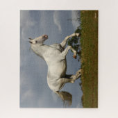 Grey Andalucian Stallion die tegen Sky loopt Legpuzzel (Verticaal)