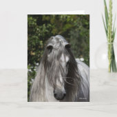Grey Andalucian Stallion Headshot Long Mane Kaart (Voorkant)