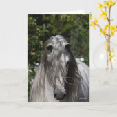 Grey Andalucian Stallion Headshot Long Mane Kaart (Gele Bloem)